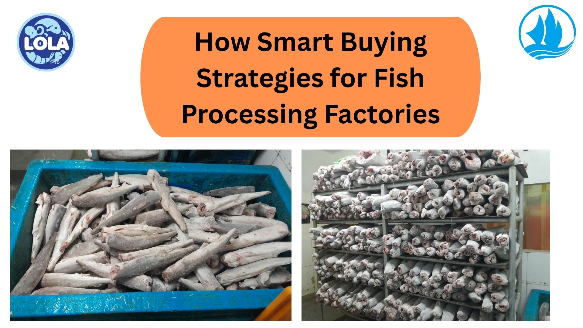  How Smart Buying Strategies for Fish Processing Factories